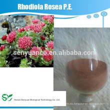 Material cosmético rhodiola rosea pe